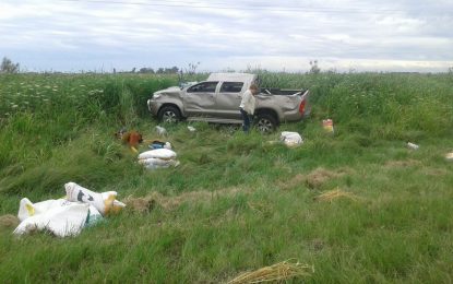 Vuelco en la ruta nacional 188 de una camioneta que llevaba de tiro un carro