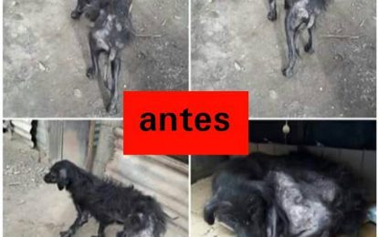 Realicó: el profundo amor, le salvó la vida a Jacinto