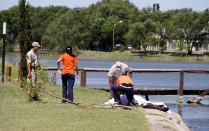 Tragedia en Pico: un hombre rescató a un nene del agua, pero él murió ahogado