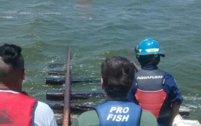 Bomberos Voluntarios tuvieron que socorrer a trabajadores de la Cooperativa Eléctrica en una laguna
