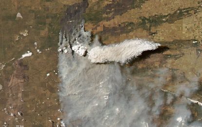 Un informe del INTA dice que ya se quemaron unas 600 mil hectáreas en La Pampa