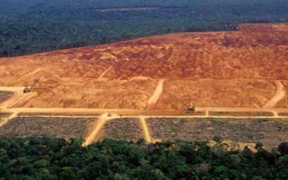 Los bosques de la Amazonia están llegando a su mayor punto de crisis