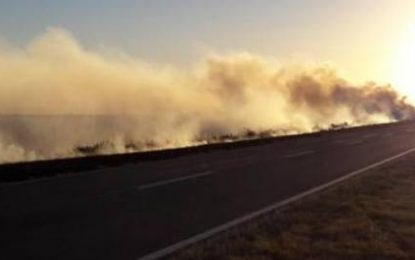 Desperfecto eléctrico de una camioneta generó un importante incendio de pastizales