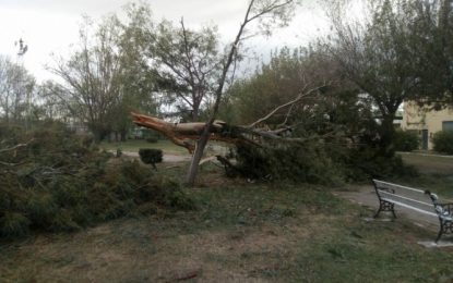 Fuerte tormenta de granizo y viento en Alta Italia