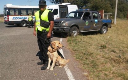 Secuestran droga en operativo realizado en ruta nacional 35