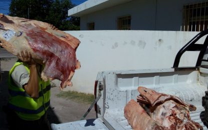 La Policía de Realicó decomisó 300 kilos de carne que un camión descargaba a una camioneta en un camino vecinal