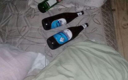 Ingeniero Luiggi: detectan fiesta ilegal en la casa de una funcionaria policial y la separan del cargo