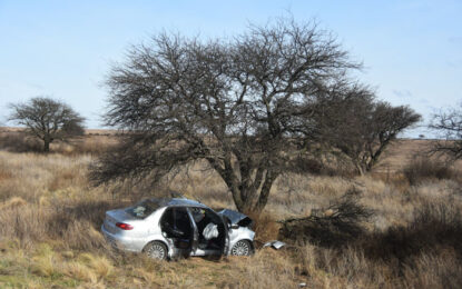 Una mujer de Rancul chocó contra un caldén a la vera de la ruta 35 cerca de Santa Rosa