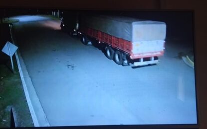 Seguimiento por cámaras de seguridad en Maisonnave: un camionero infraccionado