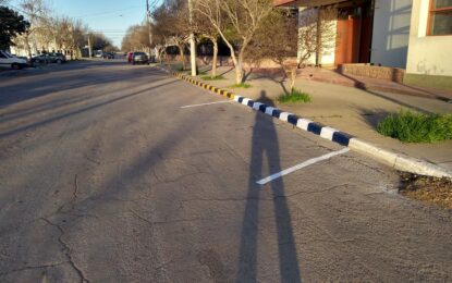 La Municipalidad de Realicó realizó trabajos de pintado cordones en distintas calles de la localidad