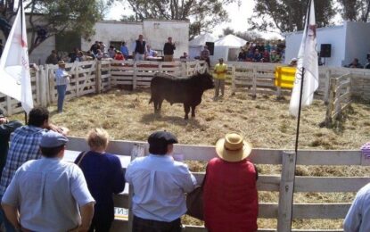 Mañana miércoles: se pone en marcha una nueva edición de la Expo Rural de Realicó