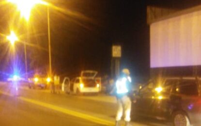 Nuevo operativo antidroga en la ruta nacional 35 a la altura del Puesto Caminero Realicó