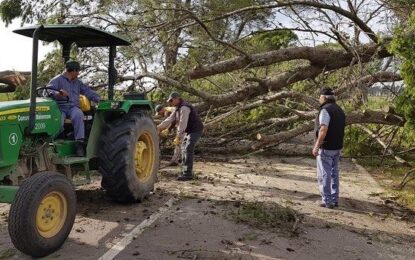 Mirá las imágenes de lo que dejó el paso de la tormenta por la localidad de Maisonnave