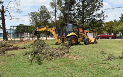 Luego de las fuertes tormentas, personal municipal continúa trabajando en la recolección de ramas y árboles caídos