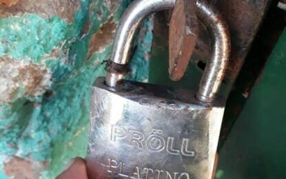 Nuevamente ingresaron al predio de Ferro de Realicó, en Barrio Norte y rompieron candados