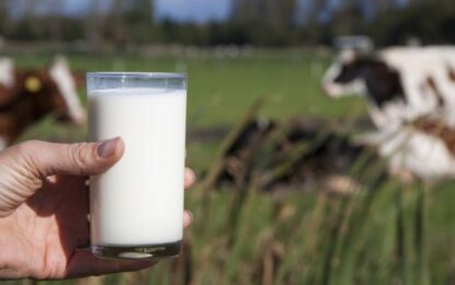 Se impone en General Villegas la venta de leche directa del tambo a $20 el litro