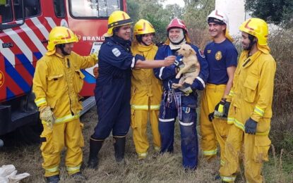 Maisonnave: Bomberos de Realicó rescataron un perro que había caído al pozo de un molino