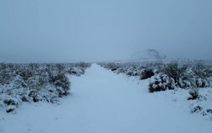 Impresionante nevada en el oeste pampeano