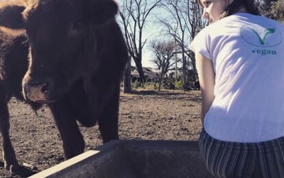 EMOCIONANTE HISTORIA DE AMOR POR LOS ANIMALES:  CONSIGUIO DINERO A TRAVES DE LAS REDES SOCIALES PARA SALVARLE LA VIDA A «EL COLORADO», UN JOVEN NOVILLO, Y LO LOGRO