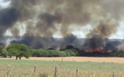 Doloroso: mirá las imágenes de cómo arden montes de caldén en Telén