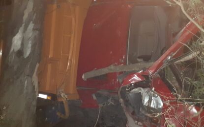 Del Campillo: camión se pasó de largo en un cruce y chocó contra eucaliptos