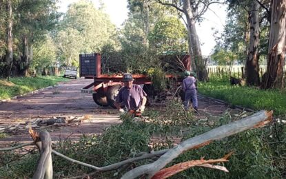 Luego de la importante tormenta de ayer, la comuna de Maisonnave trabajó intensamente por inconvenientes