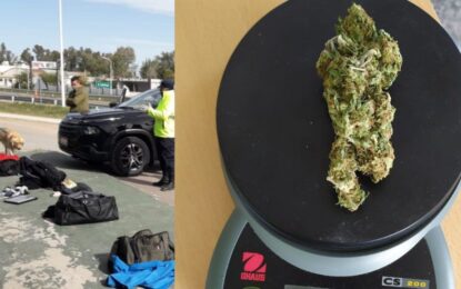Con la ayuda del perro Catriel, secuestraron marihuana en el Puesto Caminero de Castex