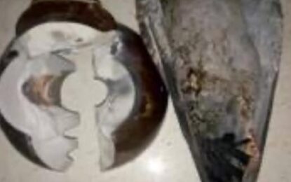 Cortes de energía eléctrica en Realicó: conocé las razones