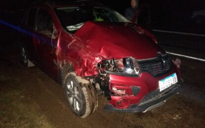 UNA PAREJA REALIQUENSE CHOCA ANIMALES VACUNOS EN CERCANÍAS DE FALUCHO