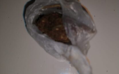 La policía secuestró un envoltorio con marihuana a joven en Realicó