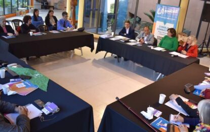 Realicó: se reunió el Consejo Consultivo de la Secretaría de la Mujer, Géneros y Diversidad