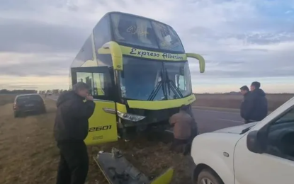 Entre Pico y Dorila: un micro y un camión embistieron animales sueltos en la ruta provincial 1