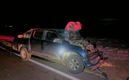 Ruta Nacional 188: una camioneta en la que viajaban vecinos de Rancul chocó a un animal suelto