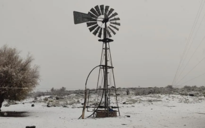 Nieva en La Pampa: mirá, así amaneció Chos Malal