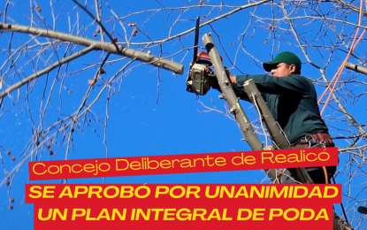 El Concejo Deliberante de Realicó aprobó por unanimidad un plan integral de poda formativa del arbolado urbano
