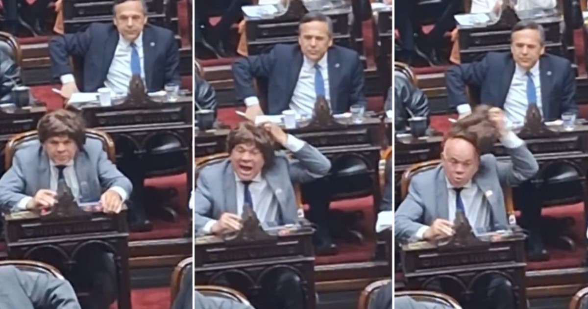 el-diputado-peronista-aldo-leiva-se-puso-peluca-para-votar-contra-los-vetos-de-javier-milei