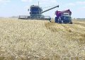 El campo destacó la nueva baja de retenciones anunciada por Javier Milei, pero pidió avanzar hacia una eliminación total