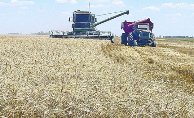 El campo destacó la nueva baja de retenciones anunciada por Javier Milei, pero pidió avanzar hacia una eliminación total