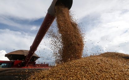 De la mano de una mayor cosecha de soja y maíz, el ingreso de divisas por parte del agro superaría US$ 36.000 millones este año