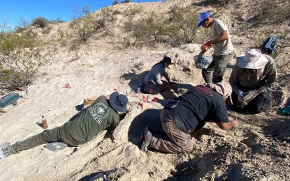 La Pampa: hallan restos de un Titanosaurio en 25 de Mayo