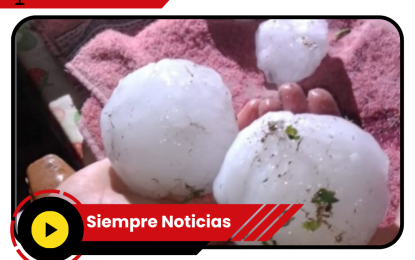 Desastre en Mendoza: Granizo del tamaño de una naranja causó destrozos en San Rafael