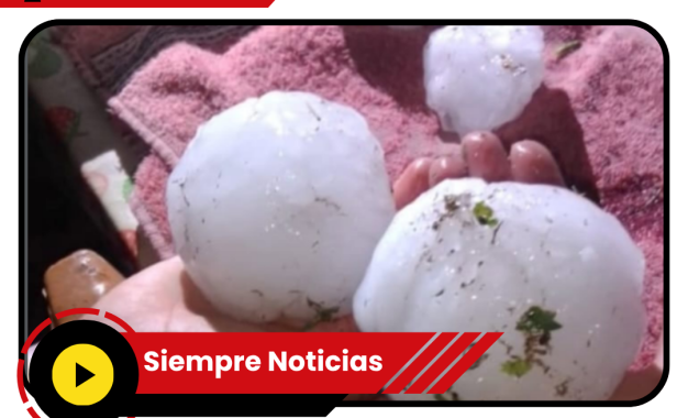 Desastre en Mendoza: Granizo del tamaño de una naranja causó destrozos en San Rafael