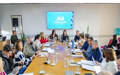 Centro de Salud Mental para Realicó: debate que llega al recinto de Diputados