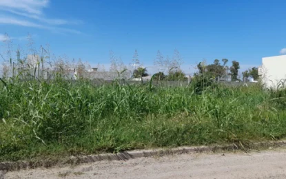 El Ejecutivo propone limpiar terrenos baldíos sin previo aviso y cargar el costo a los dueños
