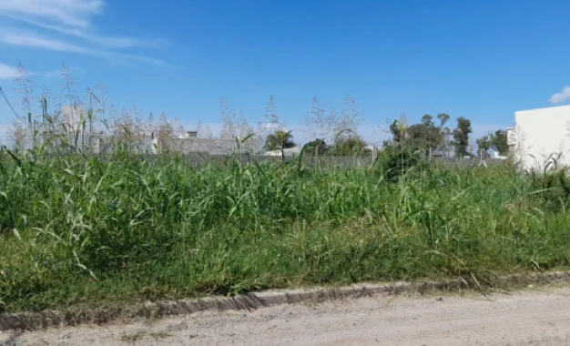 El Ejecutivo propone limpiar terrenos baldíos sin previo aviso y cargar el costo a los dueños