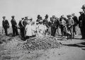 Crónicas del Realicó de ayer: Cuando el pueblo salió a «cazar» bichos canasto