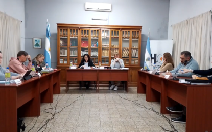 Vecino denuncia «soluciones informales» y falta de respuestas del municipio por daños de un árbol en su vivienda