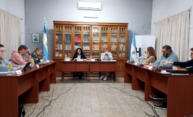 Vecino denuncia «soluciones informales» y falta de respuestas del municipio por daños de un árbol en su vivienda