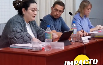 Realicó: el Concejo Deliberante aprobó mejoras para el parque Infancia Feliz
