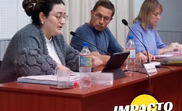 Realicó: el Concejo Deliberante aprobó mejoras para el parque Infancia Feliz